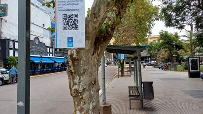 Transporte: alta adhesión al paro, que seguirá el 25 y 26 si no hay solución