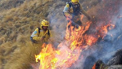 Cerro Champaquí: casi 300 bomberos inician el cuarto día consecutivo de lucha contra el fuego