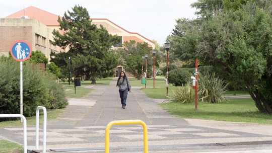 Docentes universitarios pararán el martes y proponen también en la semana del 16 Docentes universitarios pararán el martes y proponen también en la semana del 16