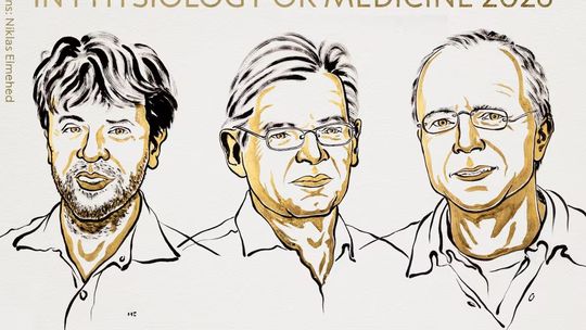 El Nobel de Medicina 2026 fue para los creadores de la optogenética, la tecnología para controlar las neuronas con luz