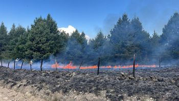 Un incendio forestal afecta pastizales y pinares en Villa Berna