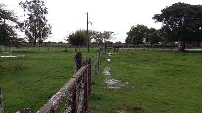 Casi toda la provincia arranca diciembre con el promedio anual de lluvia cubierto
