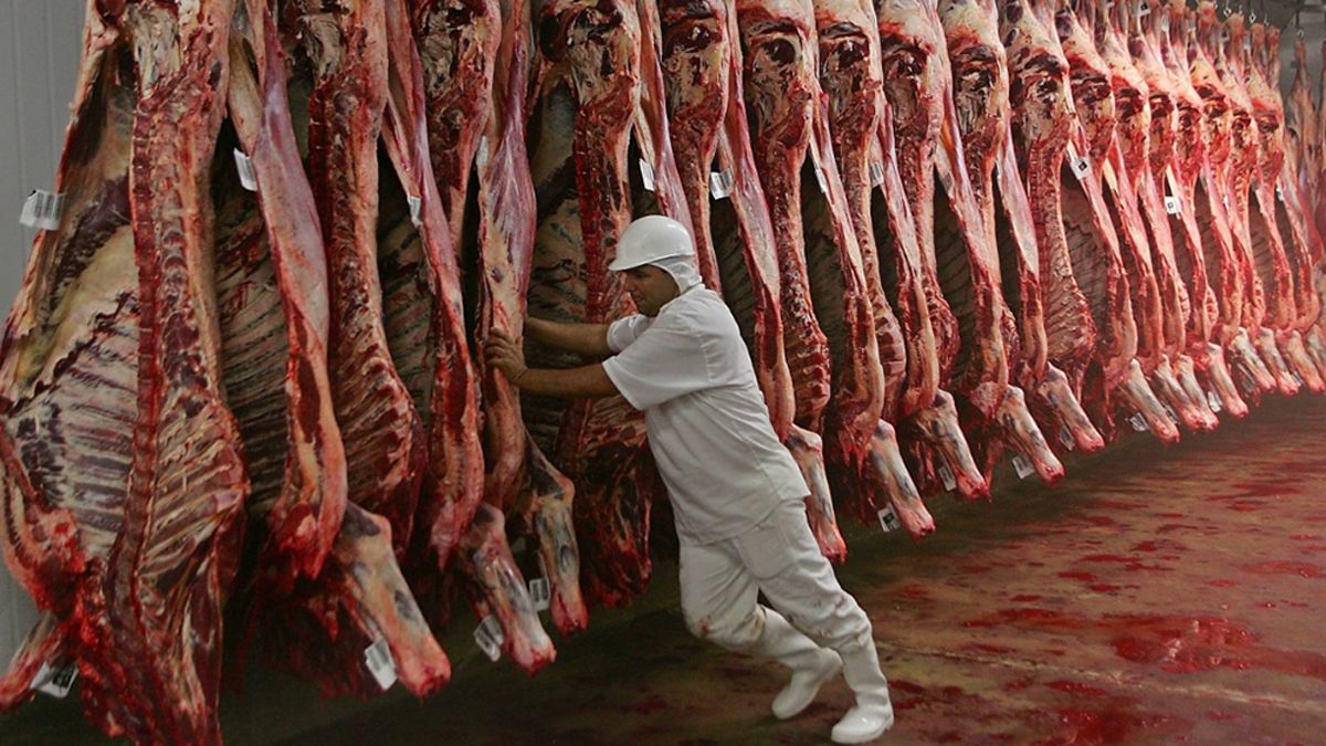 El Gobierno formalizó un nuevo registro para la exportación de carne