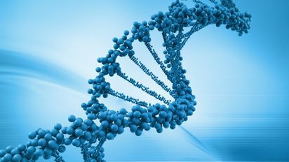 Crean una herramienta tecnológica que mejora el análisis genético para identificar personas perdidas