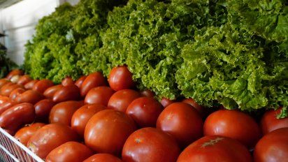 En cuestión de días, suben más del 70 por ciento el tomate, la acelga y la papa