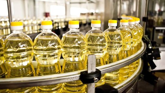 La industrialización de girasol tuvo una fuerte caída del 15,51 por ciento en el segundo trimestre del año.