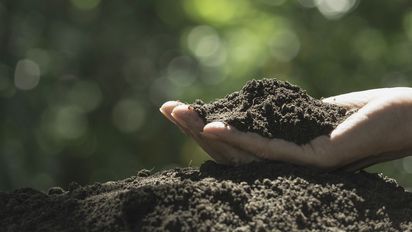 Agricultura regenerativa, clave en la solución ante el cambio climático
