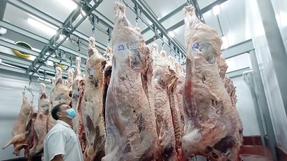 Aseguran que la cadena de la carne podría crear 114 mil empleos y duplicar exportaciones