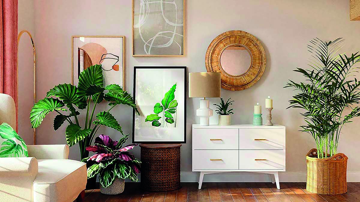 Plantas, un imprescindible en la decoración de interiores.