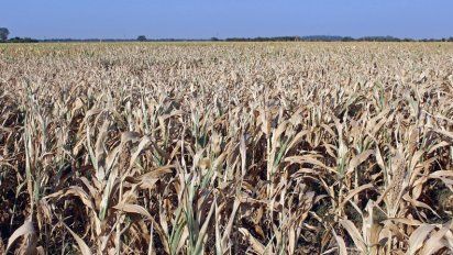 La actividad económica cayó 4,2 por ciento en el segundo trimestre