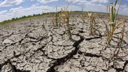 Sequía: la disponibilidad de agua marca el rumbo de la campaña