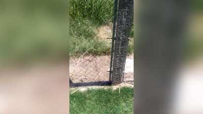 Un niño de 12 años demorado por robar el alambrado de Tribunales