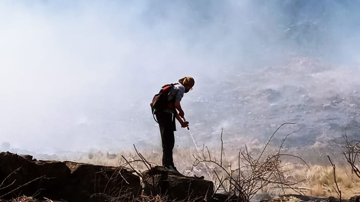 Las condiciones climáticas dificultan el combate contra las llamas.
