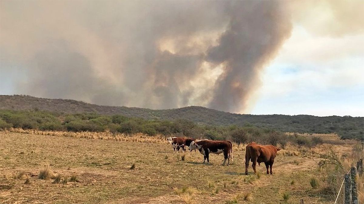 Córdoba y La Rioja mantienen focos activos de incendios forestales