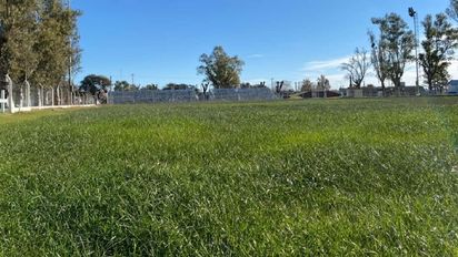 Falleció una mujer que se descompensó en un partido de fútbol infantil