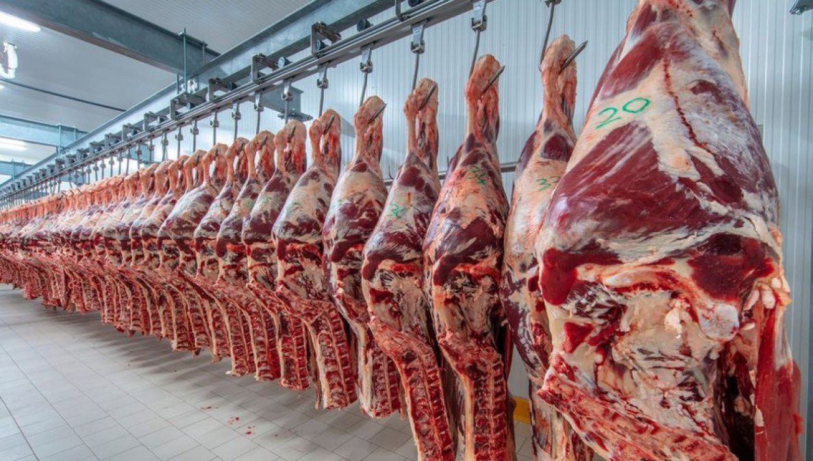 Aduana realizó una millonaria denuncia contra frigoríficos por operaciones fraudulentas en exportaciones de carne