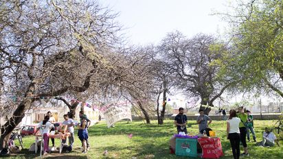 Llevarán a cabo un festival en defensa del Bosque Nativo local