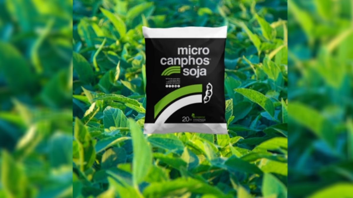 Microcanphos Soja es un desarrollo local formulado con los nutrientes necesarios para esta oleaginosa.
