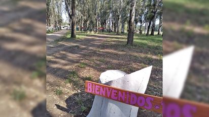 Moldes: mejoran el predio del refugio canino para convertirlo en un lugar de esparcimiento