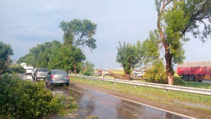 Ramas caídas por el violento viento en la ruta a Holmberg