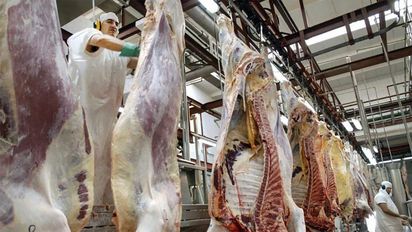 Al final, habilitaron el troceo y la descarga mecánica de la carne