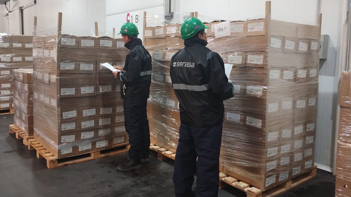 Los trabajadores del Senasa observando la carga de las cuatro empresas cordobesas que despacharon sus quesos a Brasil.