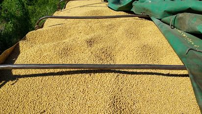 El Gobierno cerró el registro para anotar exportaciones de cereales