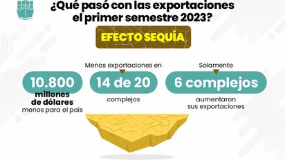 Cayeron un 35% las exportacionesdel agro: US$ 10.800 millones menos