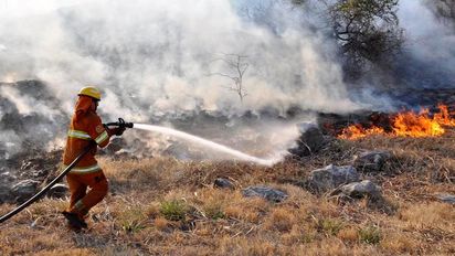 Se mantienen activos dos focos de incendios en forestaciones de Traslasierra y norte de Córdoba