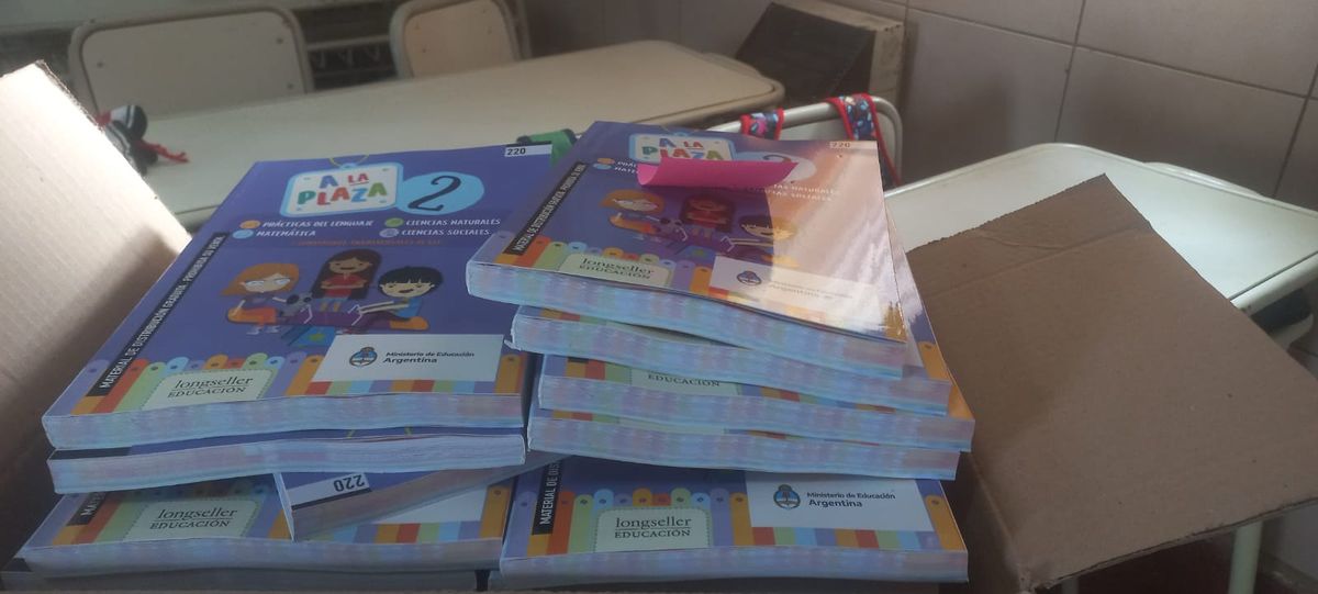 Los libros que arribaron a Villa María serán entregados a cada estudiantes y podrán llevárselos a su domicilio.