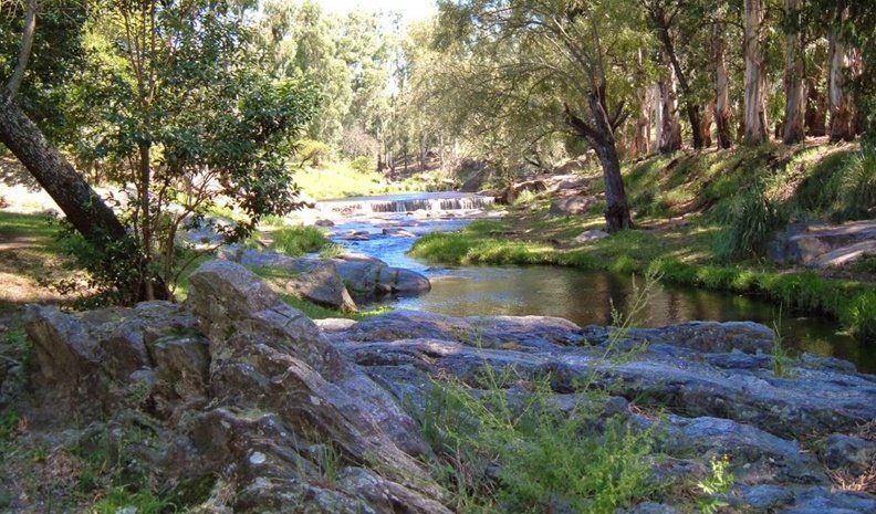 El proceso de urbanización provocó la introducción de especies exóticas, que está afectando negativamente la flora y la fauna autóctonas.