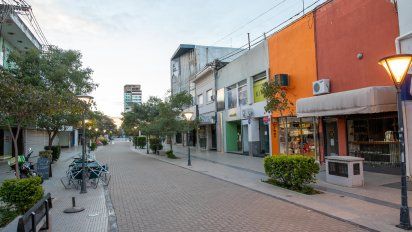 Con las medidas sanitarias creció el comercio electrónico y aumentaron las estafas virtuales