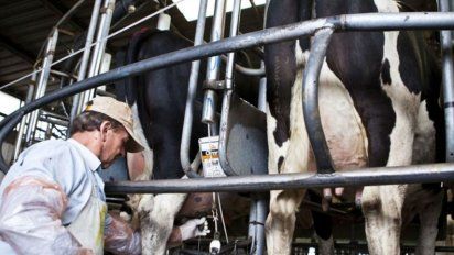 En Córdoba, lecheros piden la intervención del Estado en los precios