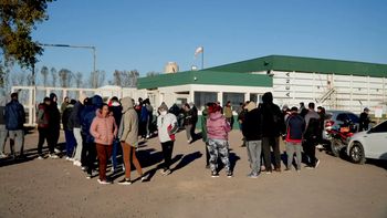 Agobiada por la crisis, Avex también pidió el concurso de acreedores