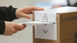 schiavi advirtio sobre una reforma electoral para favorecer al oficialismo