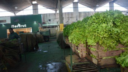 Detectan cuatro casos positivos en el Mercado de Abasto y uno en el Correo