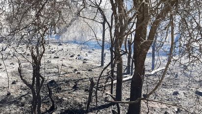La Comisión de Emergencia Agropecuaria solicitó declarar zona de desastre a los sectores afectados por el fuego