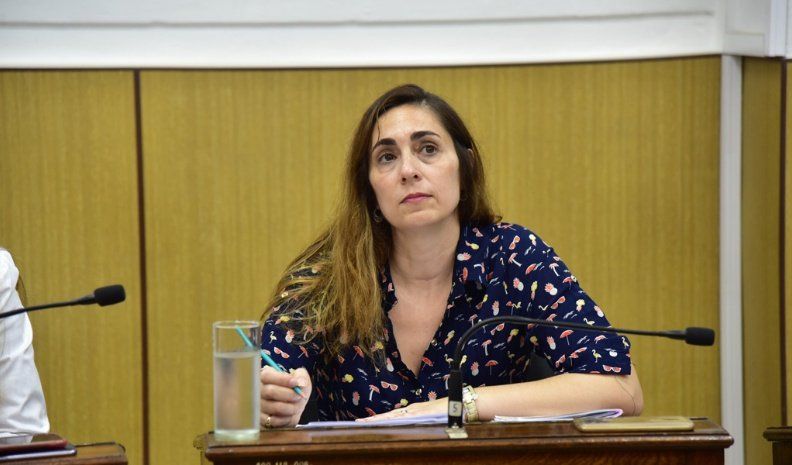 6 repercusiones concejal oficialista navarro.jpg_57698320.jpg