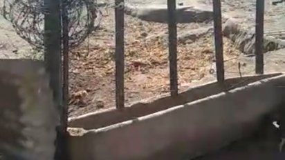 El pedido desesperado de una familia para acceder al agua
