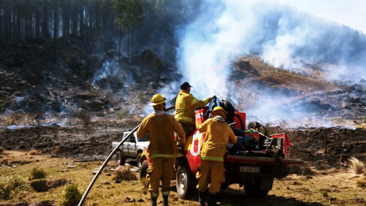 El fuego afectó una plantación de pinares en la zona de Huerta Vieja.