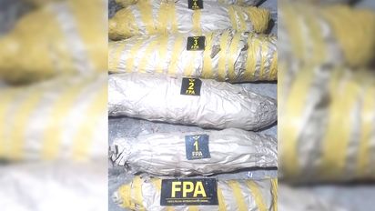 Tenía un vivero de marihuana en su casa de barrio Fénix: la producción era comercializada