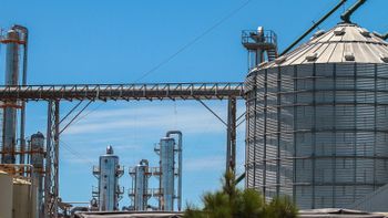 Biocombustibles: con la nueva ley, proyectan inversiones por 1.000 millones de dólares