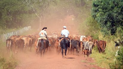 El 61% de los productores advierte que sus ingresos no cubren los gastos de campaña