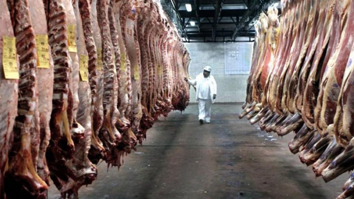 Expertos de los Estados Unidos hicieron las auditorías correspondientes para la exportación de carne vacuna.