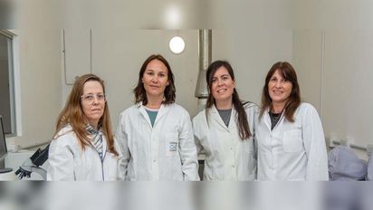 Científicas patentaron recubrimiento con nanoplacas de oro para prevenir infecciones intrahospitalarias