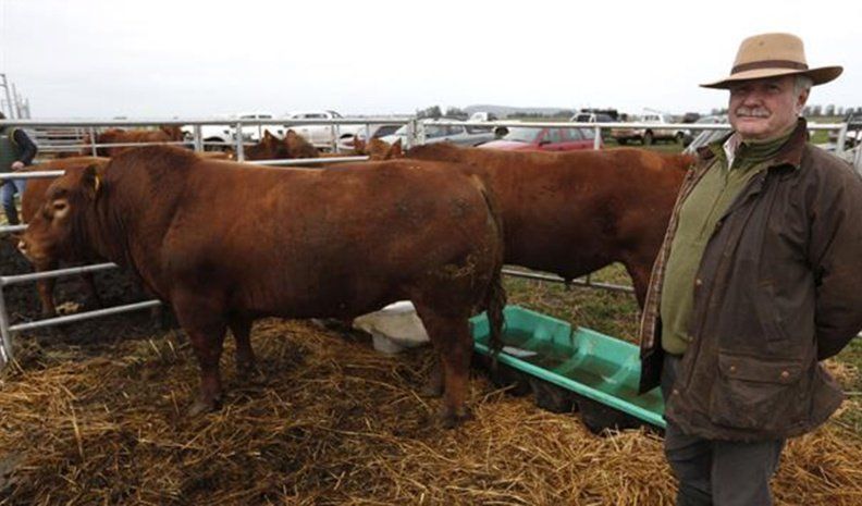Horacio Cook junto a reproductores de su cabaña “Los Choles” en La Nación Ganadera.