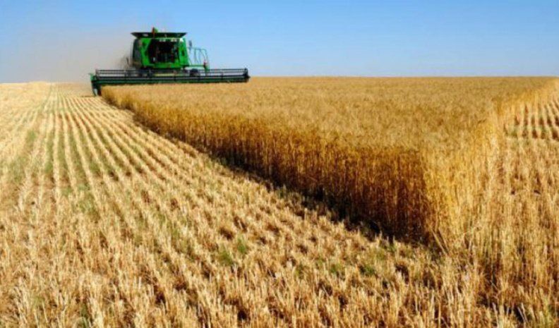 El Indec detalló que las exportaciones del rubro semillas y frutos oleaginosos tuvieron en el período un crecimiento de 123,8%