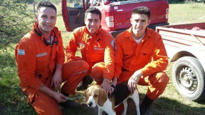 Salvaron a un pequeño perro que cayó a un  pozo de 8 metros de profundidad en Los Reartes