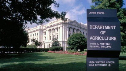 La soja subió hasta U$S 27, después de difundirse el informe de septiembre del USDA