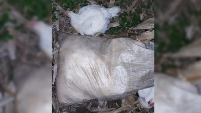 Recuperan 13 pollos sustraídos en la zona Rural de Reducción